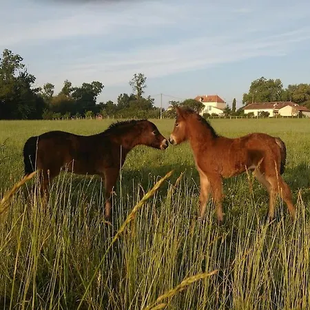 La Ferme Des Augustines Belluire